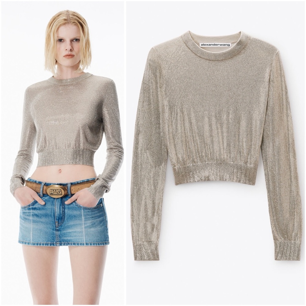 NWT Alexander Wang champagne crystal hotfix pullover $995 XL